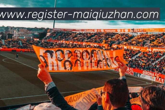 多媒体互动体验